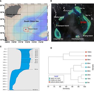 Metabarcoding reveals the differential sensitivity of planktonic microbiome to environmental filtering and biointeraction in Sansha Yongle blue hole